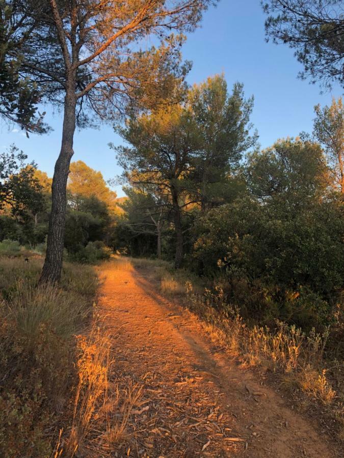 מלון Les Cabanons Sainte Victoire מראה חיצוני תמונה